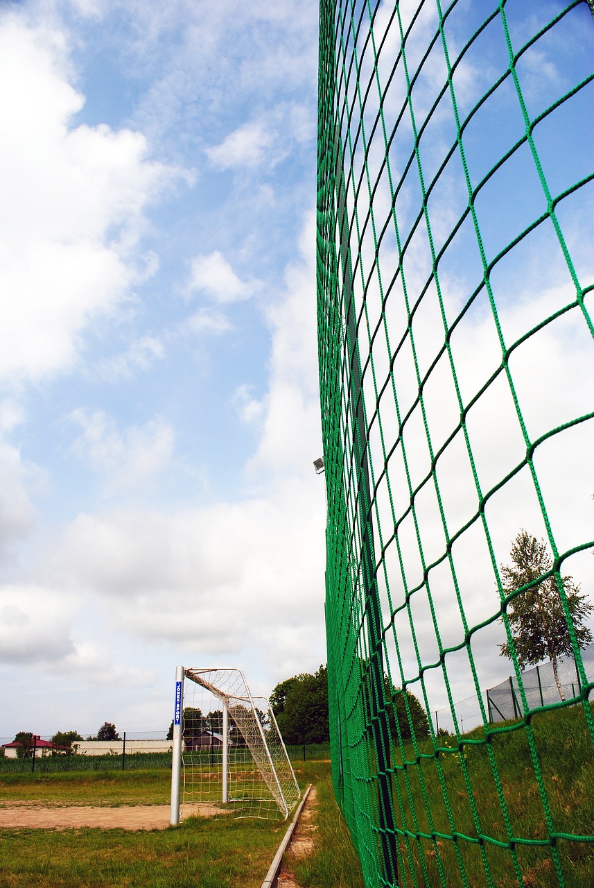 或被其他豪 或被其他豪