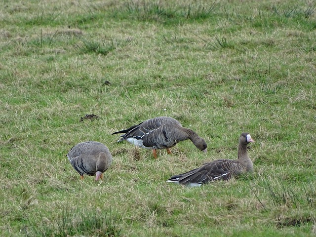 CBA“榜首大战”再上演 广厦力争主场“双杀”山西.