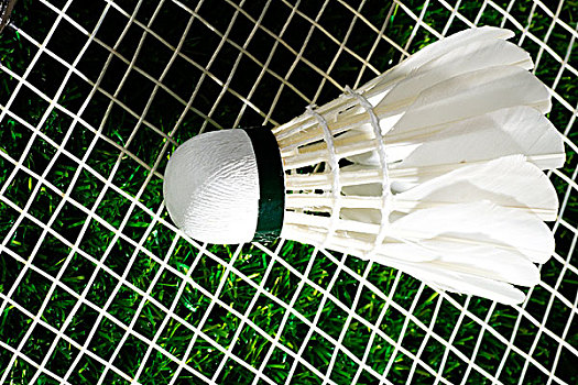 若從球隊戰 若從球隊戰